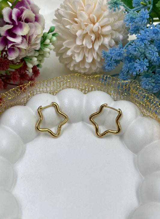 Tara Earrings close-up view