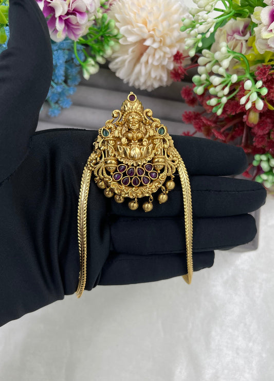 Amrita South Temple Venky