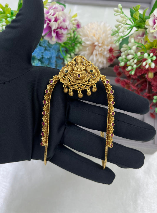 Rekha South Temple Venky