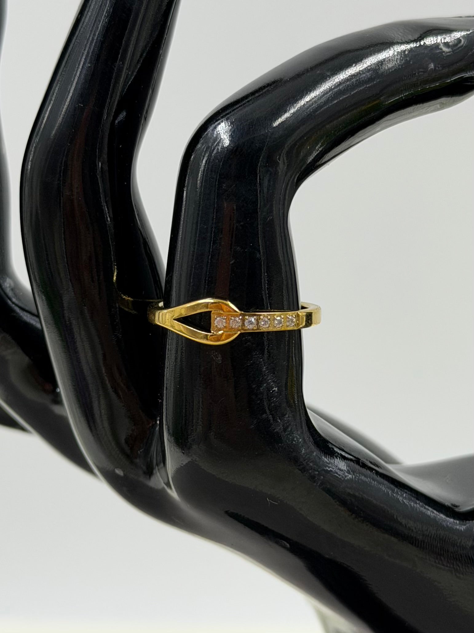 Finger Ring detail shot showing intricate work