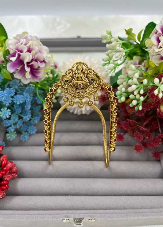 Rekha South Temple Venky
