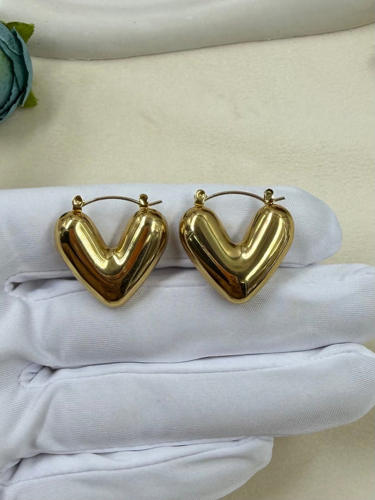 Zaria Anti-Tarnish Stainless Steel Earing